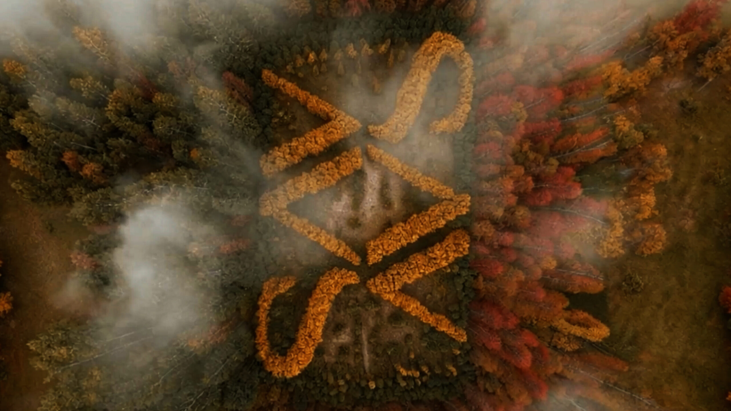 Savannah Friedkin Campaign Video